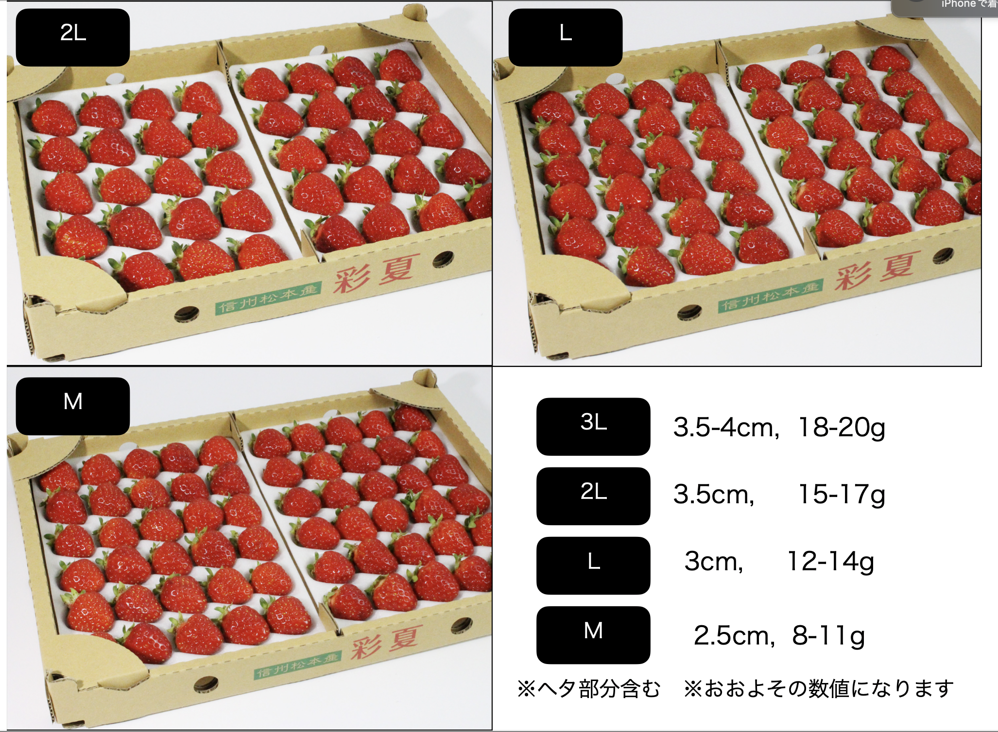 いちご 3と4 イチゴの品質、サイズの違いと味の関係について解説します
